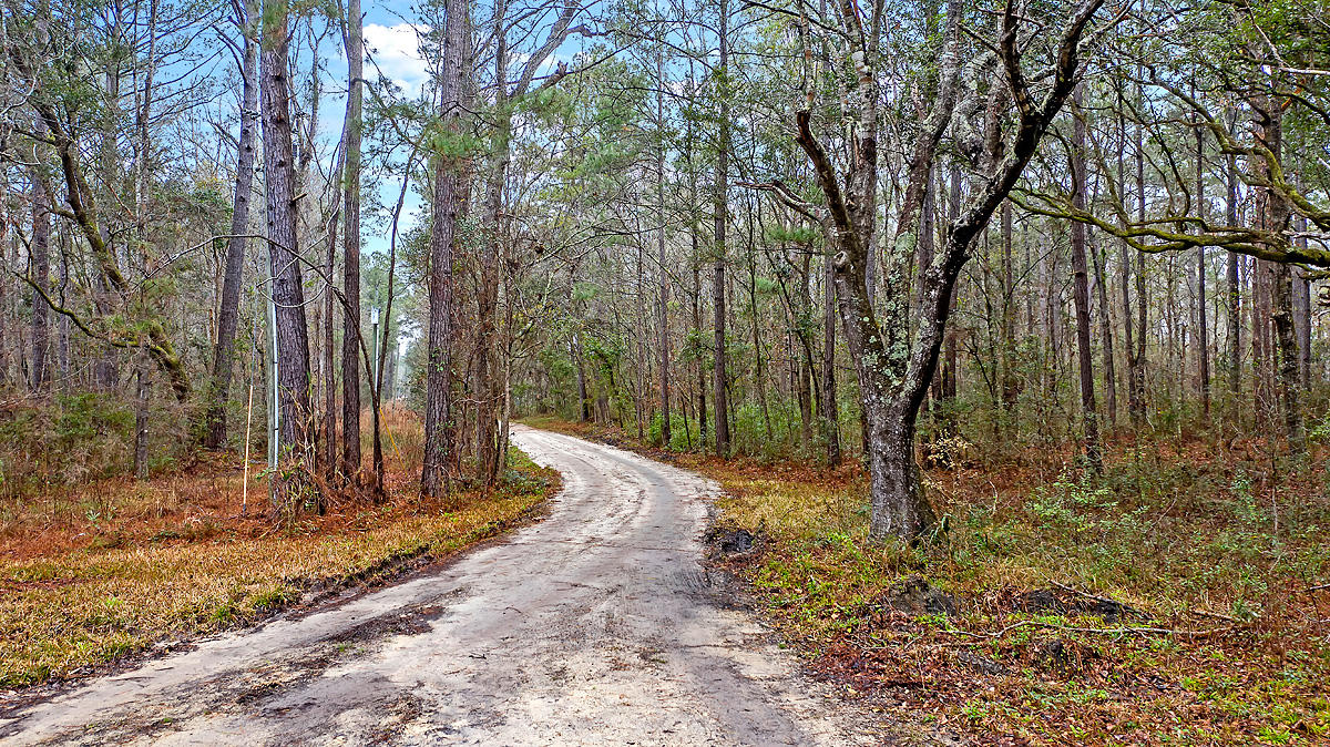 1132 Theodore Brunson Road Awendaw, SC 29429 - Photo 27 of 29 CREM_1132 Theodore Brunson_028