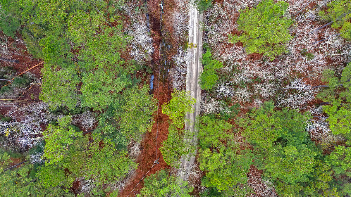 1132 Theodore Brunson Road Awendaw, SC 29429 - Photo 29 of 29 CREM_1132 Theodore Brunson_027