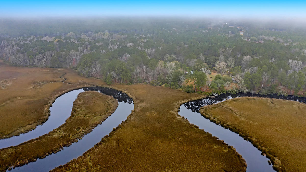 1132 Theodore Brunson Road Awendaw, SC 29429 - Photo 4 of 29 CREM_1132 Theodore Brunson_005