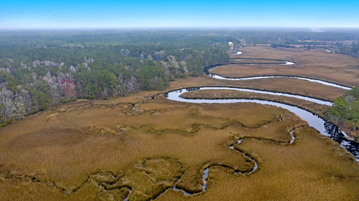 1132 Theodore Brunson Road Awendaw, SC 29429 - Photo 6 of 29 CREM_1132 Theodore Brunson_007