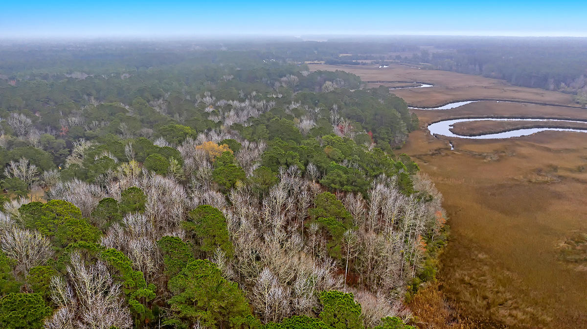 1132 Theodore Brunson Road Awendaw, SC 29429 - Photo 7 of 29 CREM_1132 Theodore Brunson_008