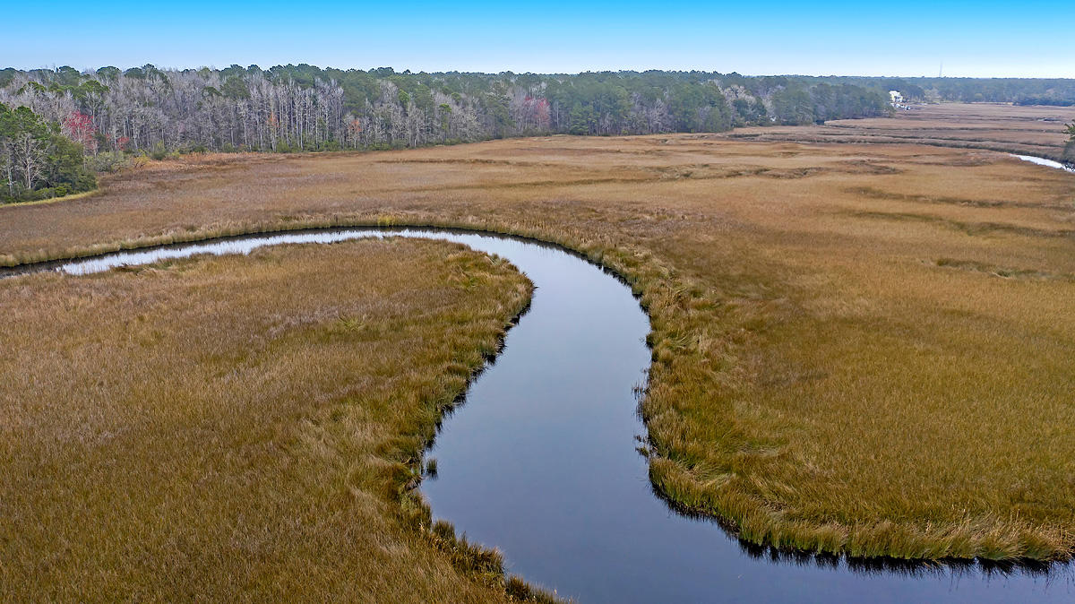 1132 Theodore Brunson Road Awendaw, SC 29429 - Photo 10 of 29 CREM_1132 Theodore Brunson_026