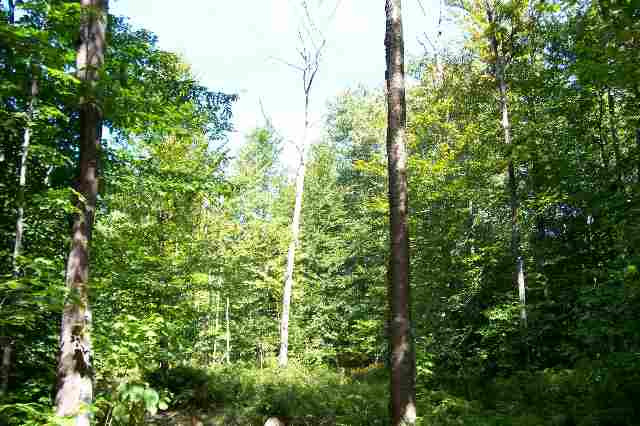 12 Wileytown Road Middle Grove, NY 12850 - Photo 2 of 5 Photo 2