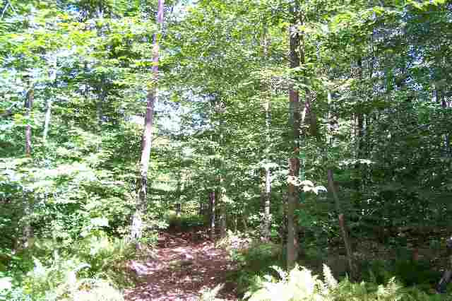 12 Wileytown Road Middle Grove, NY 12850 - Photo 3 of 5 Photo 3