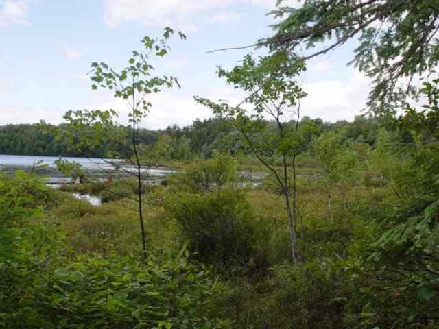 12 Wileytown Road Middle Grove, NY 12850 - Photo 5 of 5 Photo 5