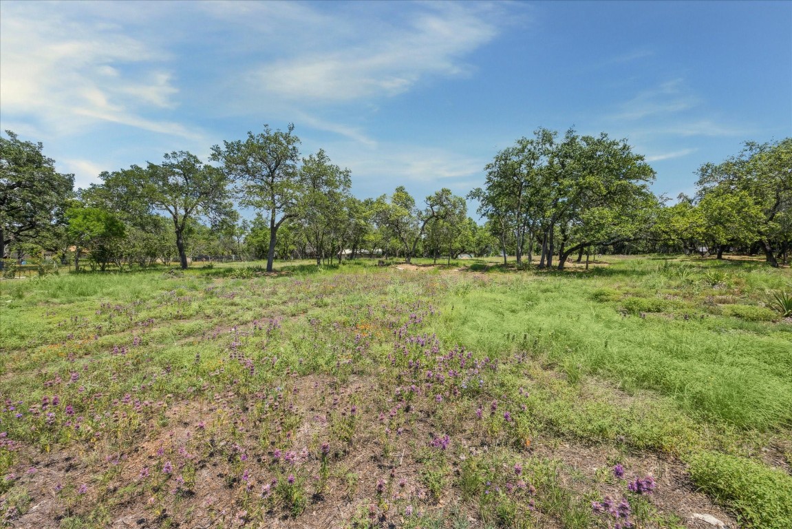 16043 Pool Canyon Road Austin, TX 78734 - Photo 11 of 12 a big yard with lots of green space and bushes