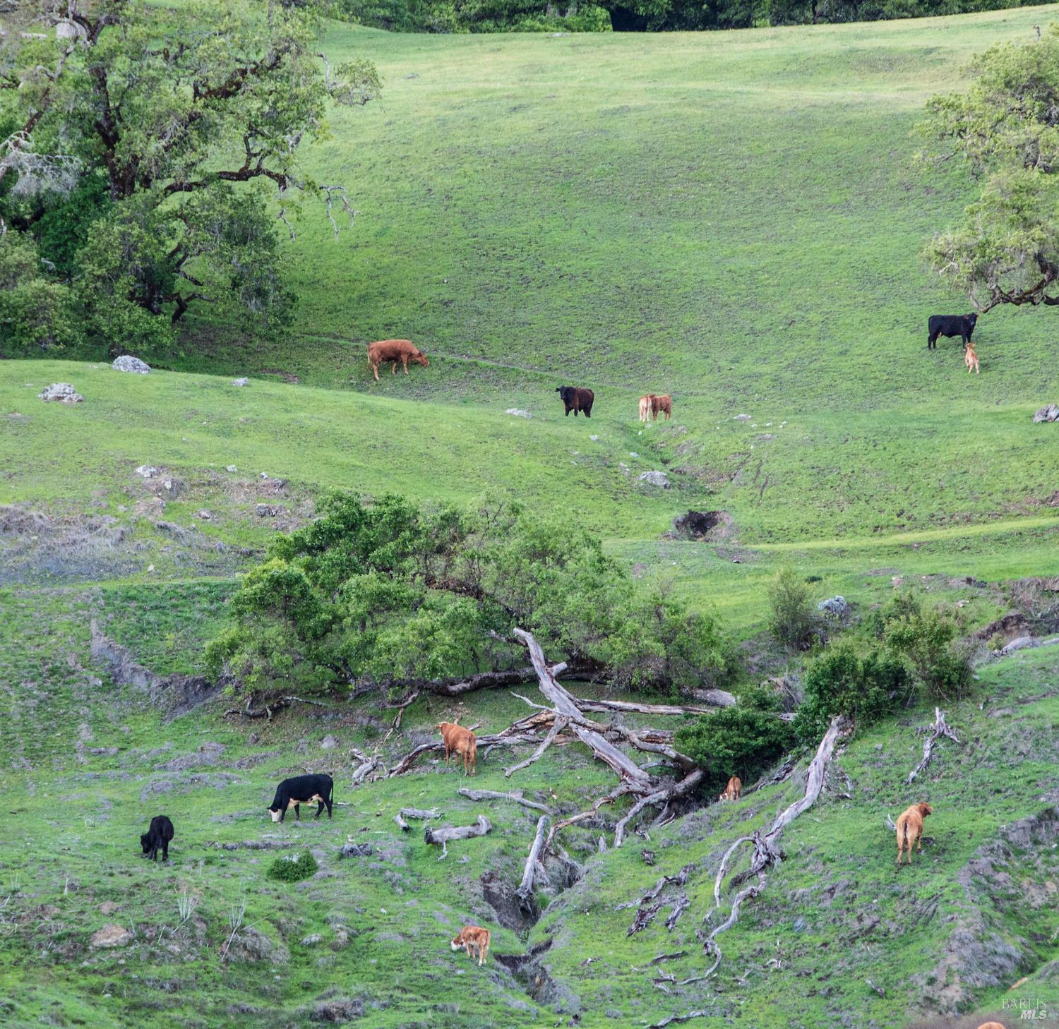 2700 Geysers Road Geyserville, CA 95441 - Photo 32 of 57