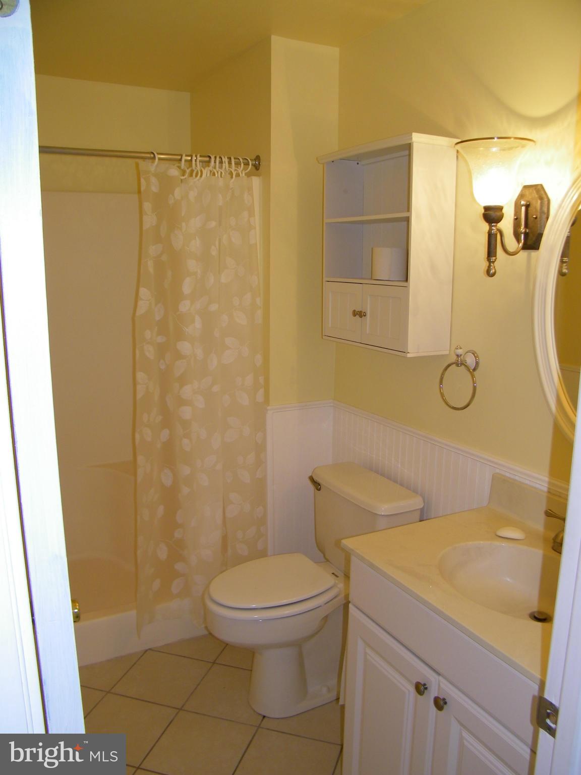 822 Dividing Road Severna Park, MD 21146 - Photo 14 of 30 Main Level In-Law or Master Suite Bath