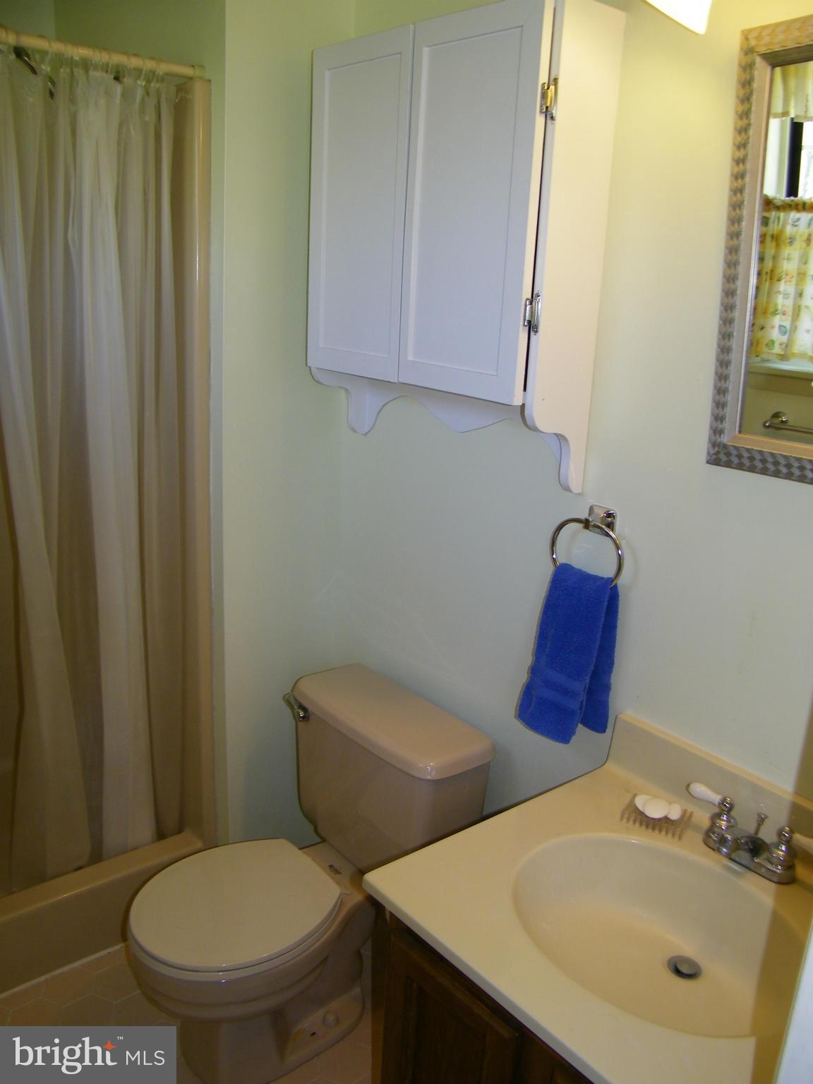 822 Dividing Road Severna Park, MD 21146 - Photo 16 of 30 2nd level master bath