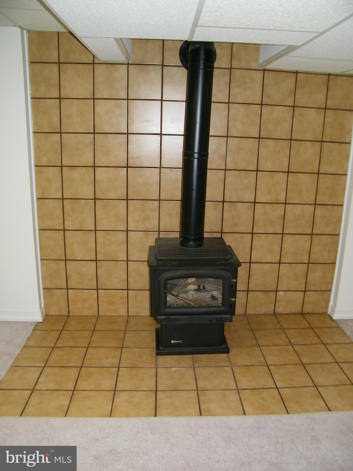 822 Dividing Road Severna Park, MD 21146 - Photo 22 of 30 Wood burning stove in basement