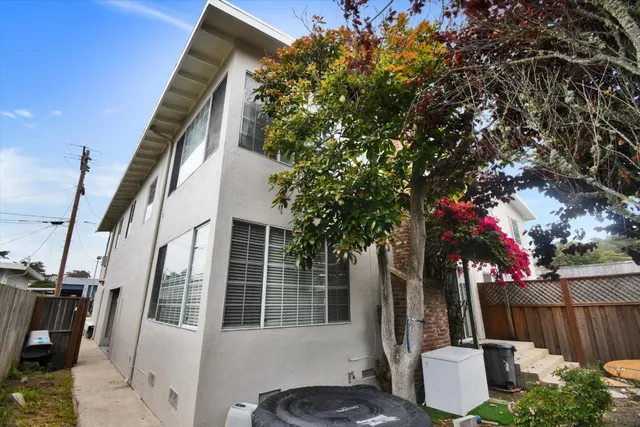 a view of a backyard with plants