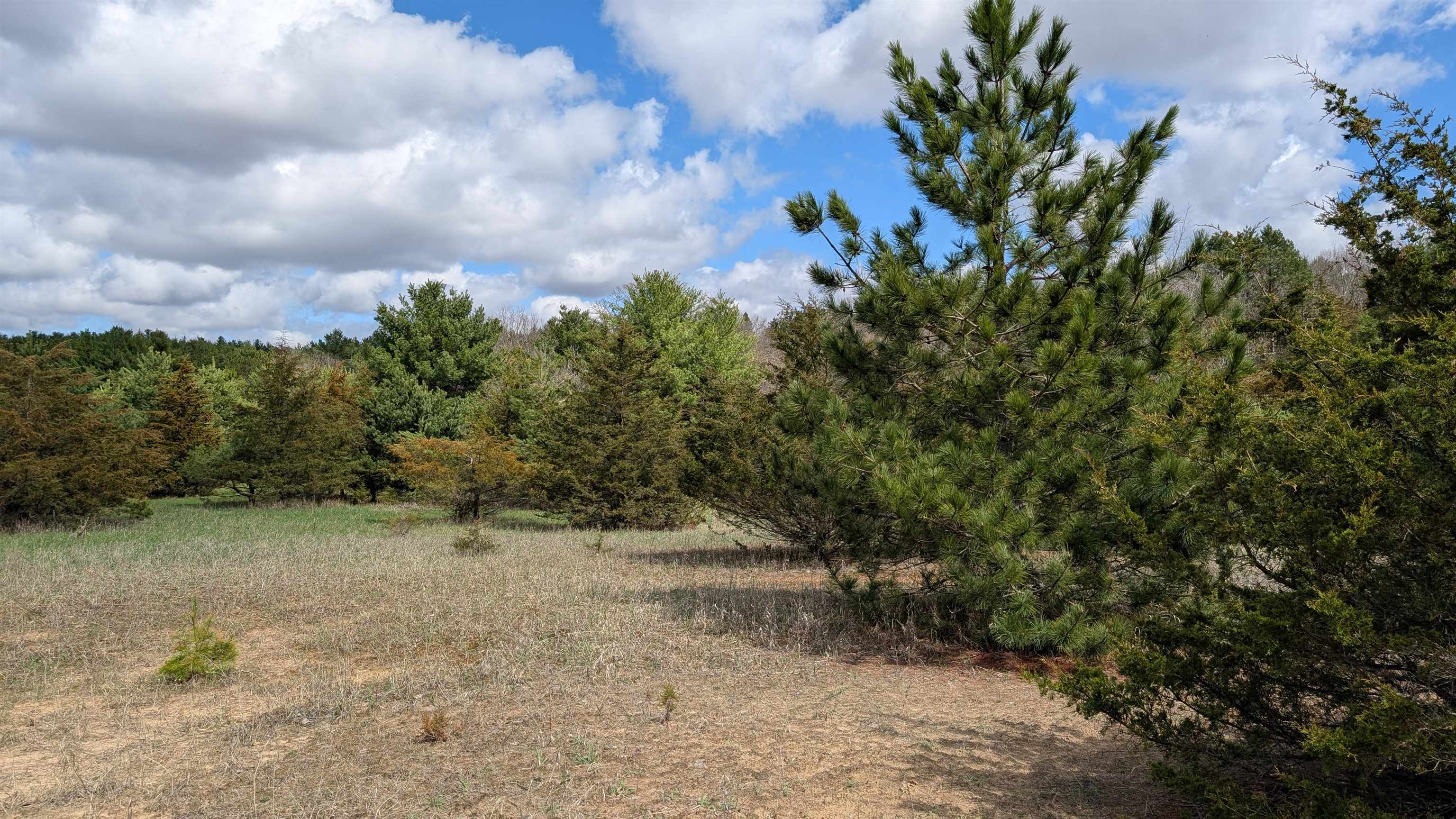 L51 Eagle Montello, WI 53949 - Photo 2 of 6