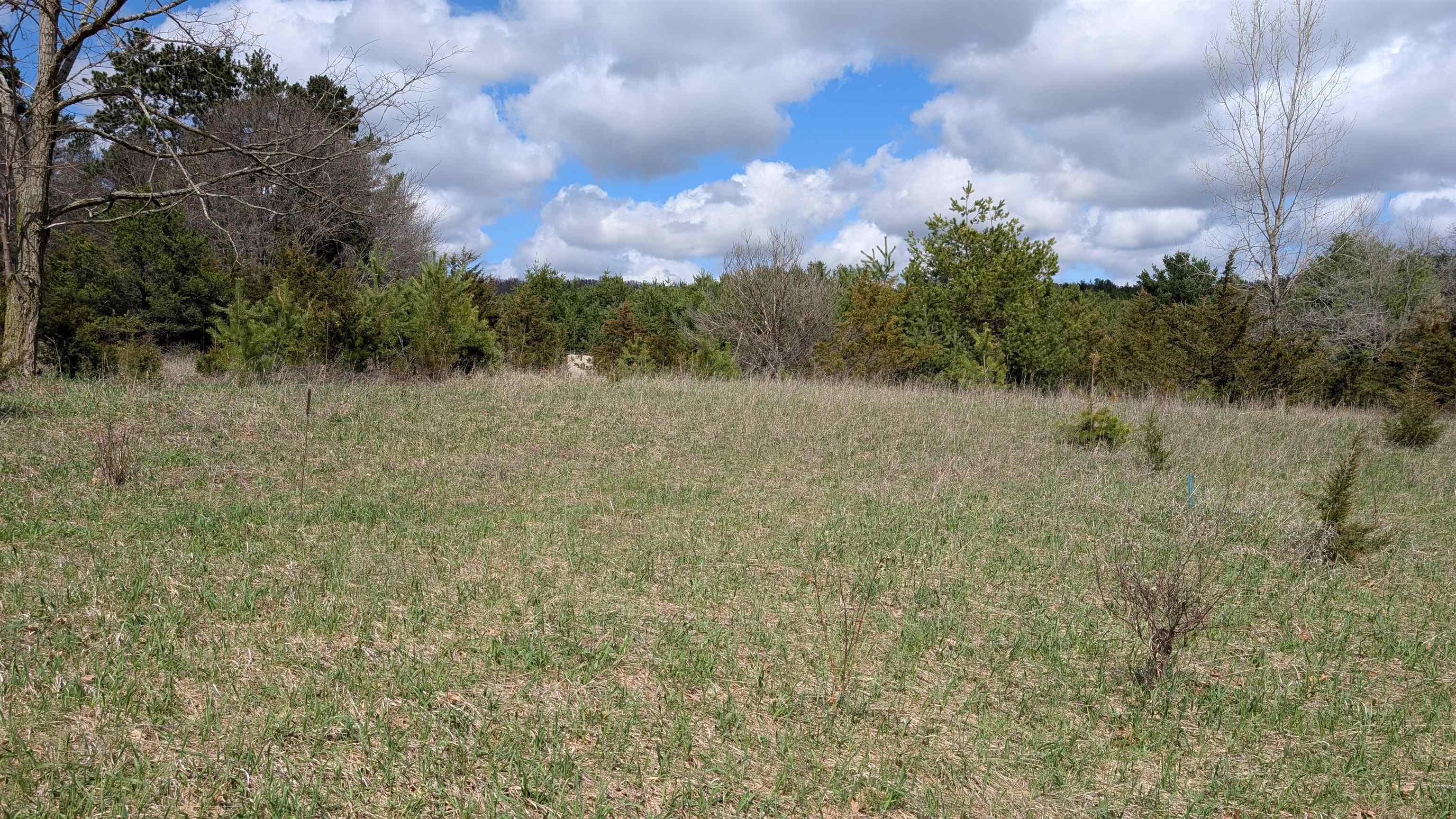 L51 Eagle Montello, WI 53949 - Photo 4 of 6