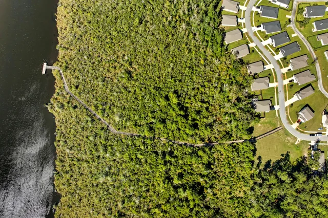 a view of a plant with a plant