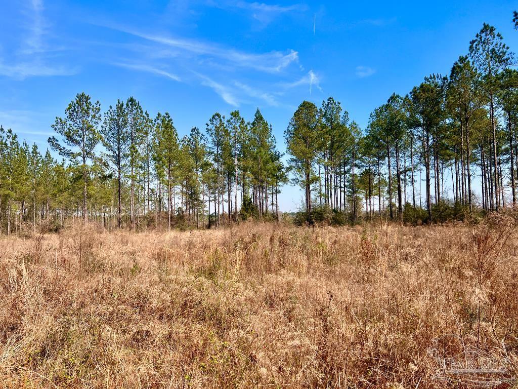 Lot 16 Denali Road Jay, FL 32565 - Photo 11 of 19