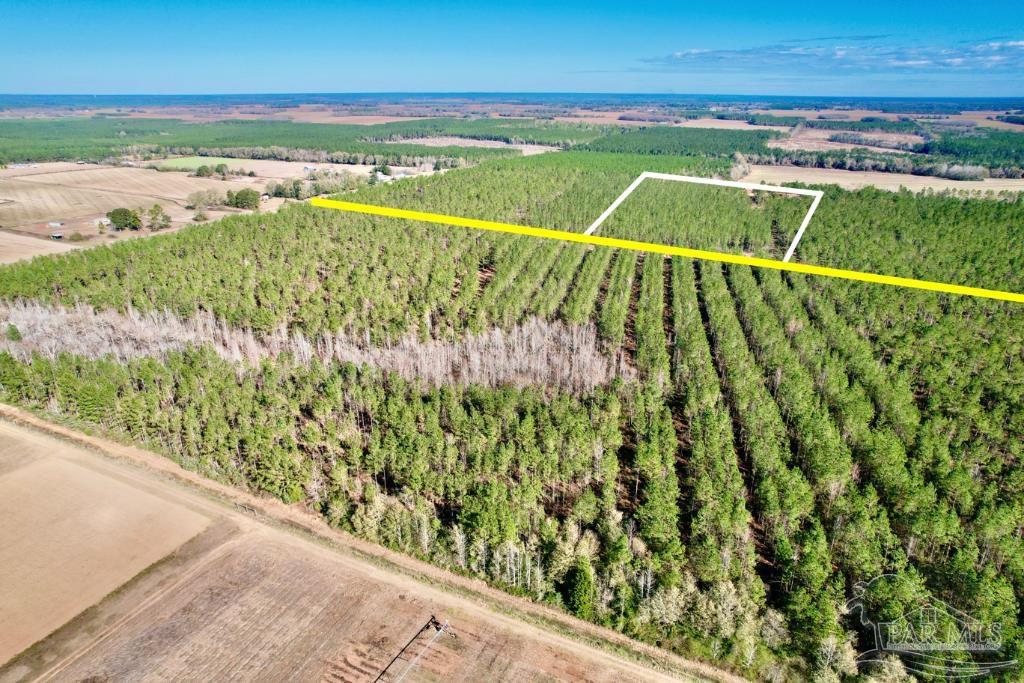Lot 16 Denali Road Jay, FL 32565 - Photo 6 of 19