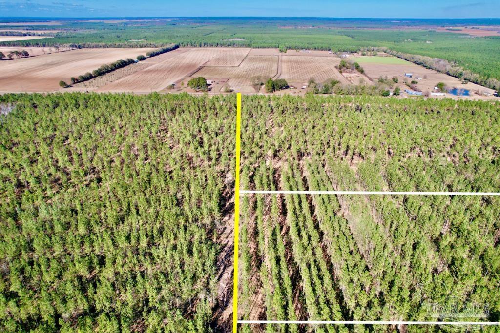 Lot 16 Denali Road Jay, FL 32565 - Photo 7 of 19