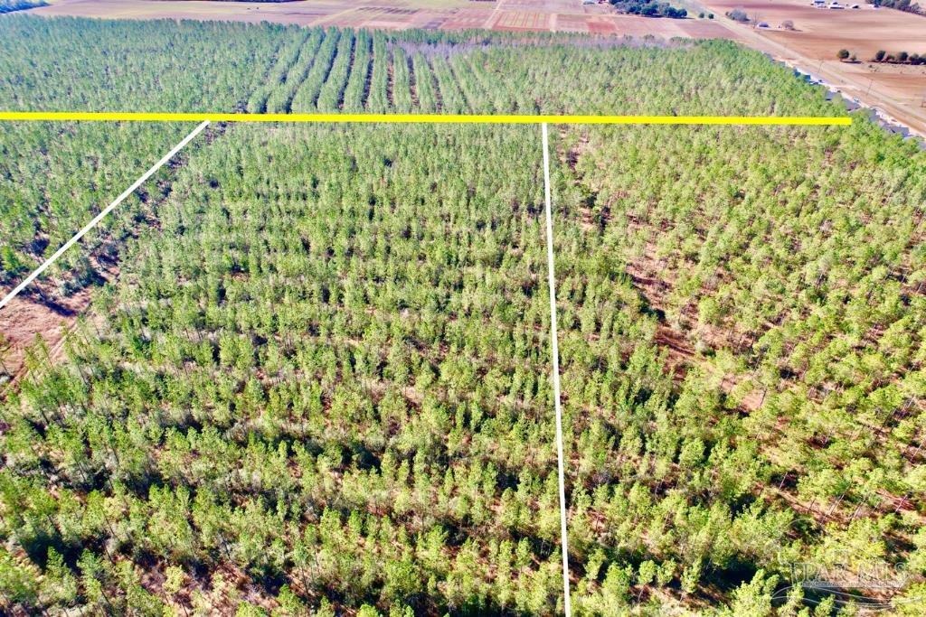 Lot 16 Denali Road Jay, FL 32565 - Photo 8 of 19