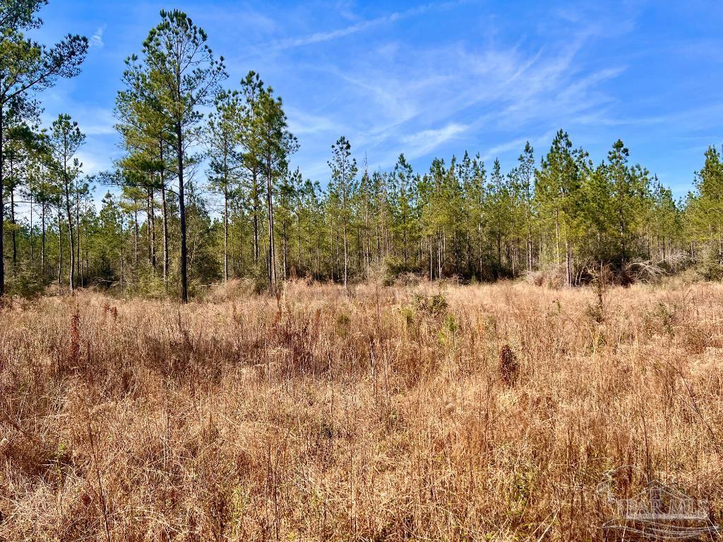 Lot 16 Denali Road Jay, FL 32565 - Photo 9 of 19