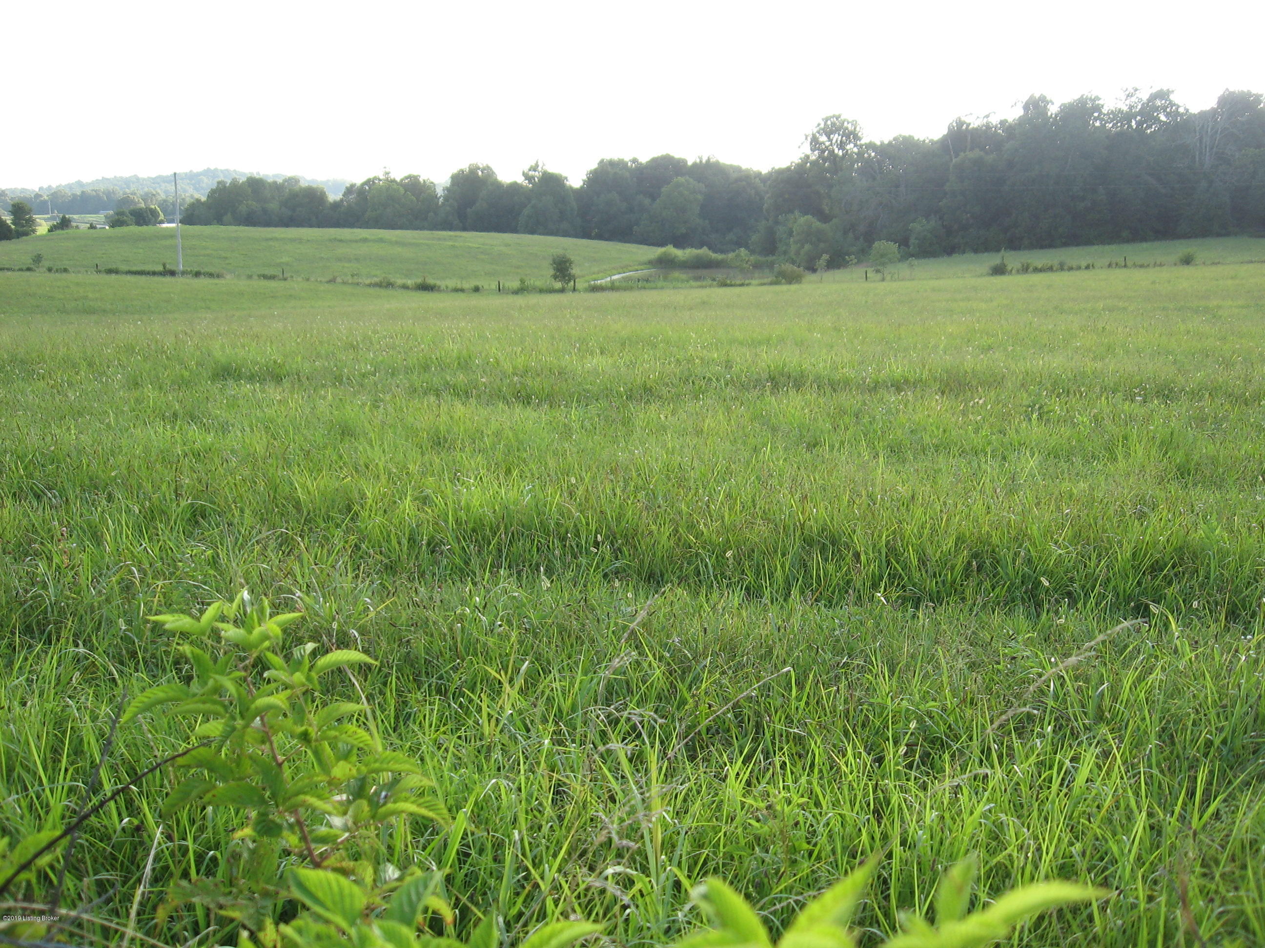 4954 Caney Creek Road Caneyville, KY 42721 - Photo 28 of 34 IMG_2020