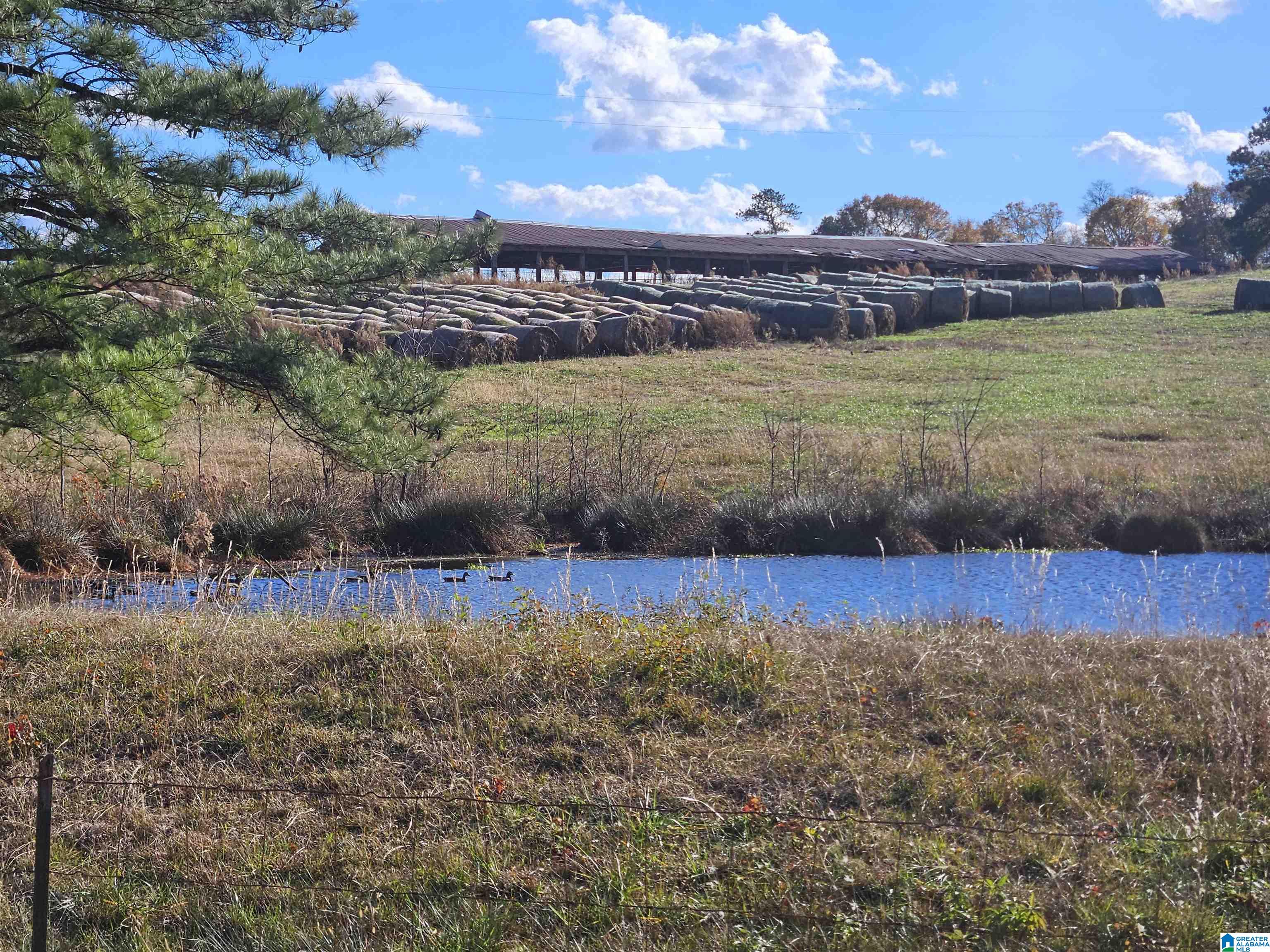682 County Road 832 Logan, AL 35098 - Photo 3 of 48