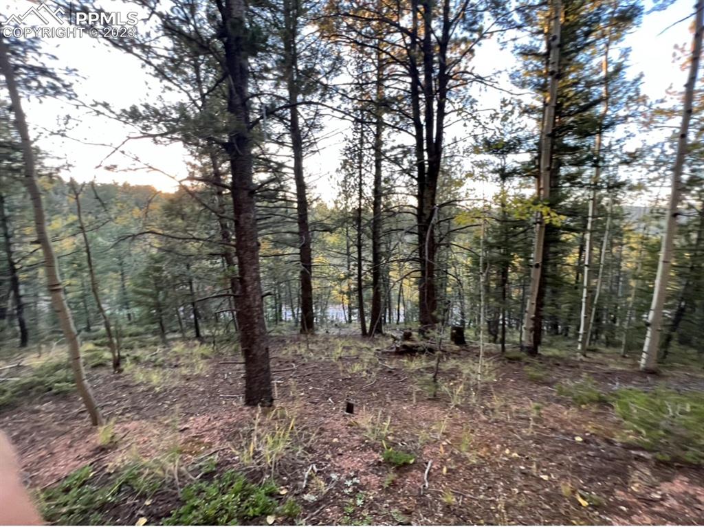 657 Calcite Drive Divide, CO 80814 - Photo 13 of 39 a view of outdoor space with lots of green space