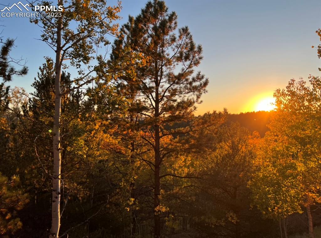 657 Calcite Drive Divide, CO 80814 - Photo 28 of 39 a view of mountain view with two tree