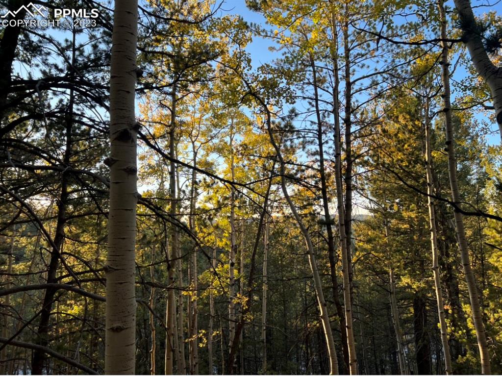 657 Calcite Drive Divide, CO 80814 - Photo 3 of 39