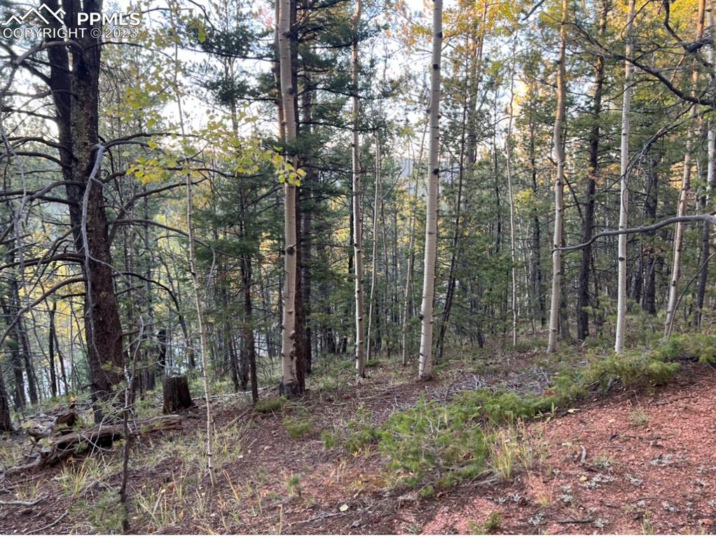 657 Calcite Drive Divide, CO 80814 - Photo 38 of 39 a view of outdoor space and green space