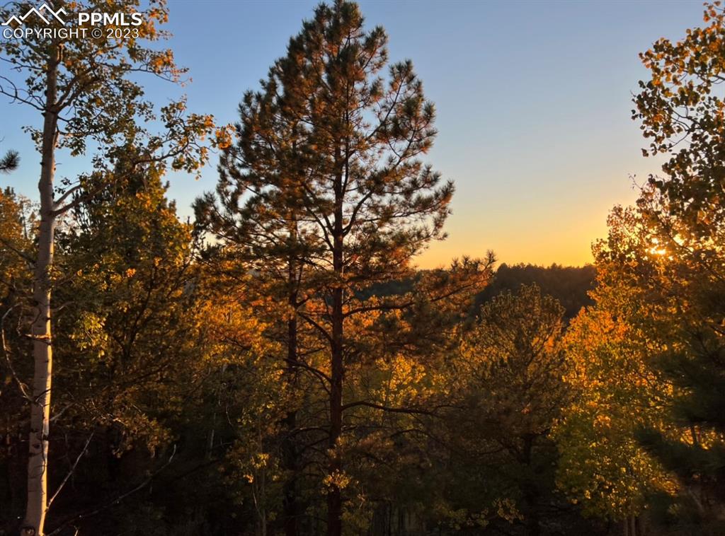 657 Calcite Drive Divide, CO 80814 - Photo 6 of 39 a view of mountain view with lots of trees