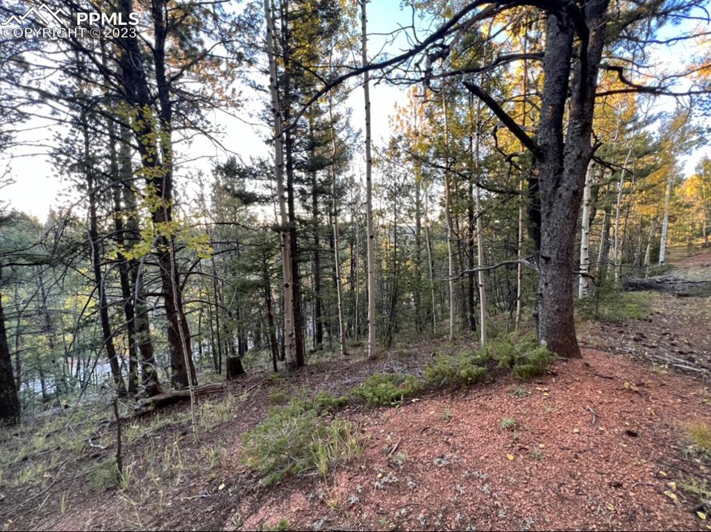 657 Calcite Drive Divide, CO 80814 - Photo 8 of 39 a view of outdoor space and tree