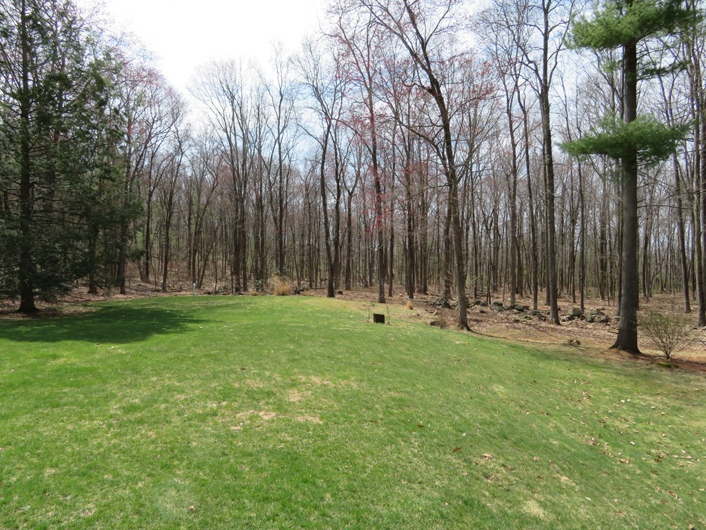 442 South Gulf Road Belchertown, MA 01007 - Photo 27 of 29 Gallery Image 27