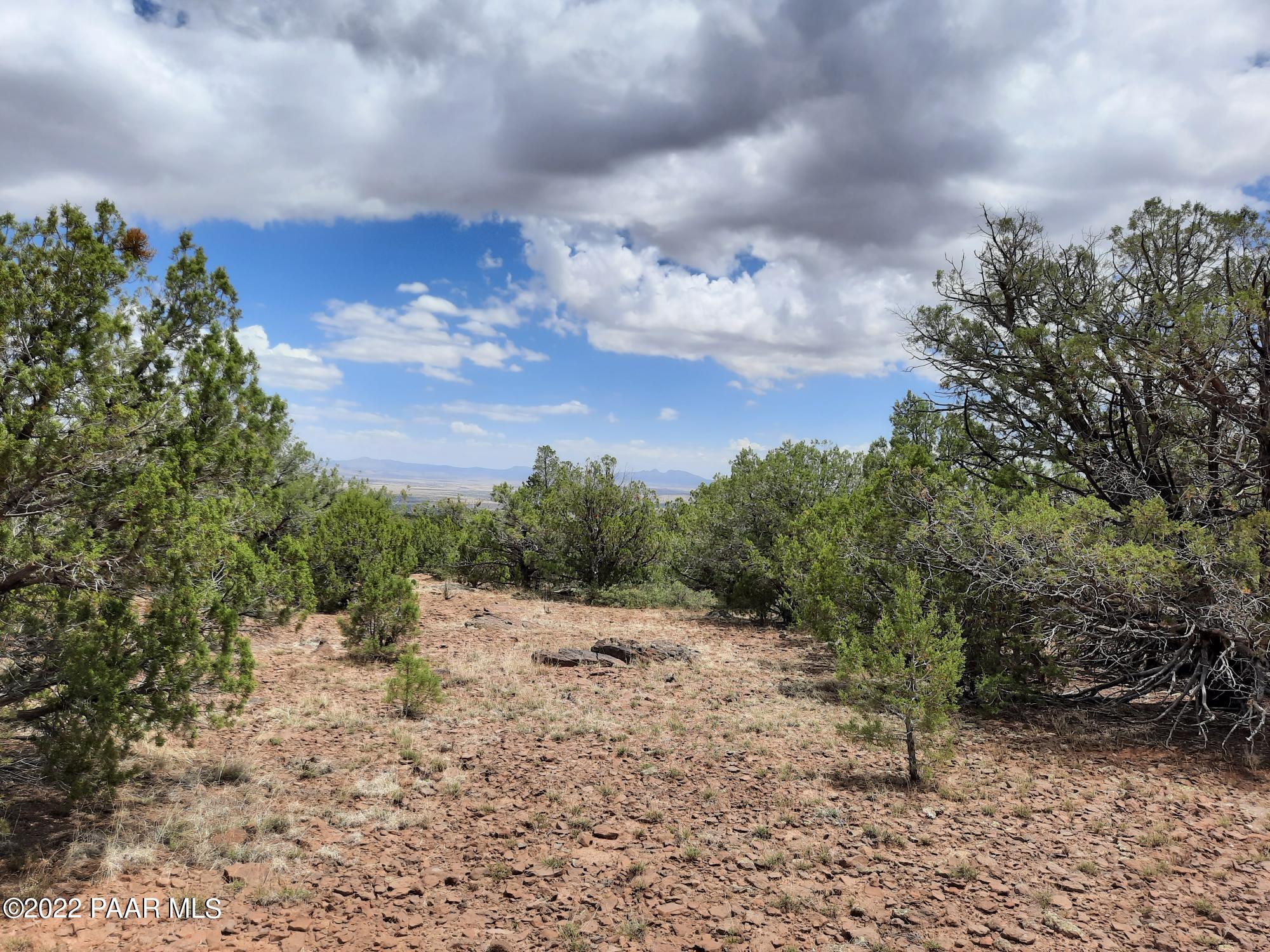 602 D Edge Ridge Road Seligman, AZ 86337 - Photo 1 of 10 cover