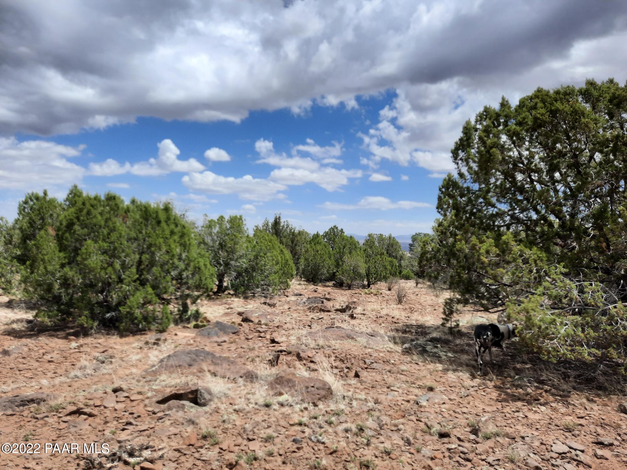 602 D Edge Ridge Road Seligman, AZ 86337 - Photo 3 of 10 20220705_113532