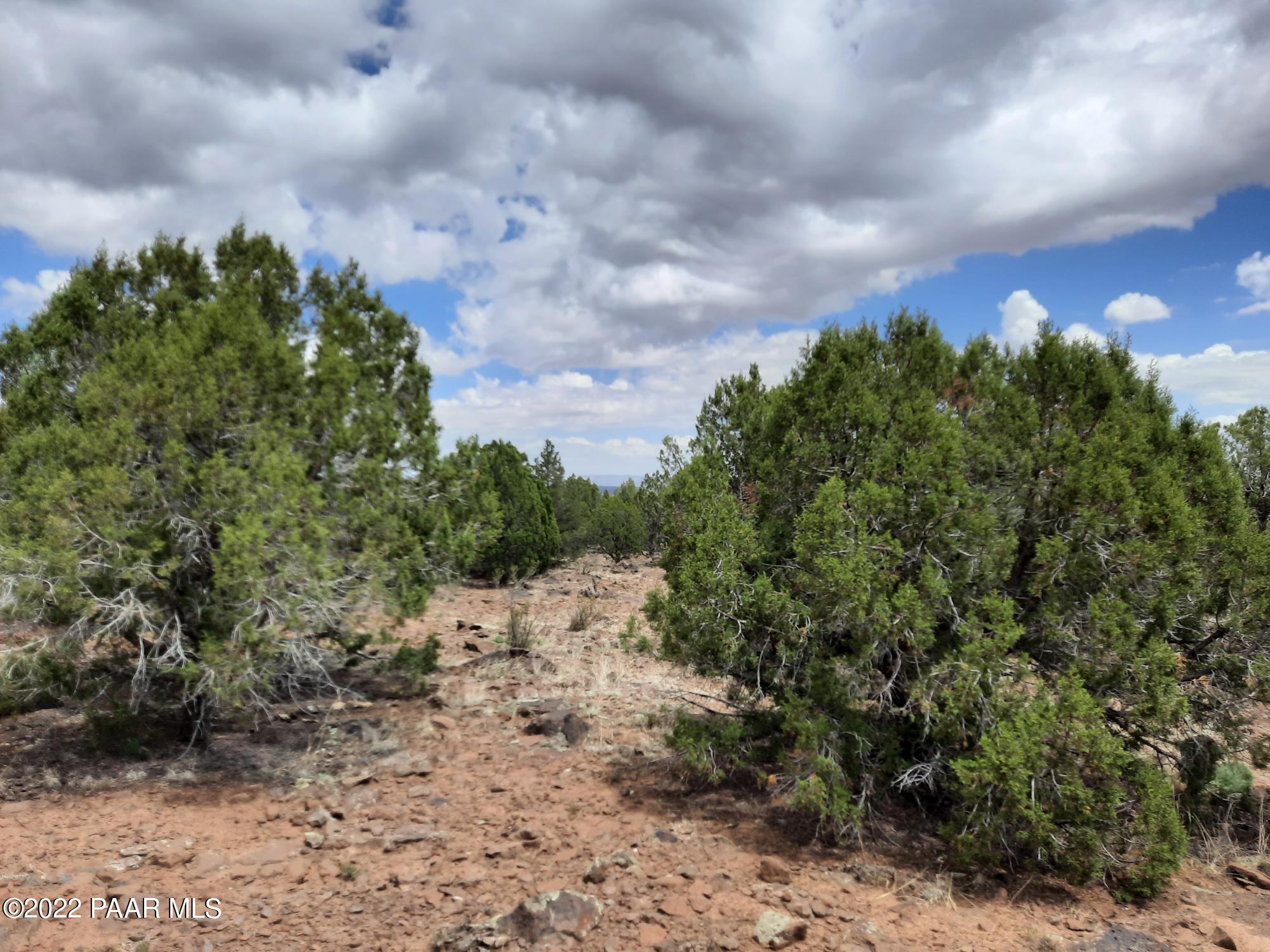 602 D Edge Ridge Road Seligman, AZ 86337 - Photo 4 of 10 20220705_113544