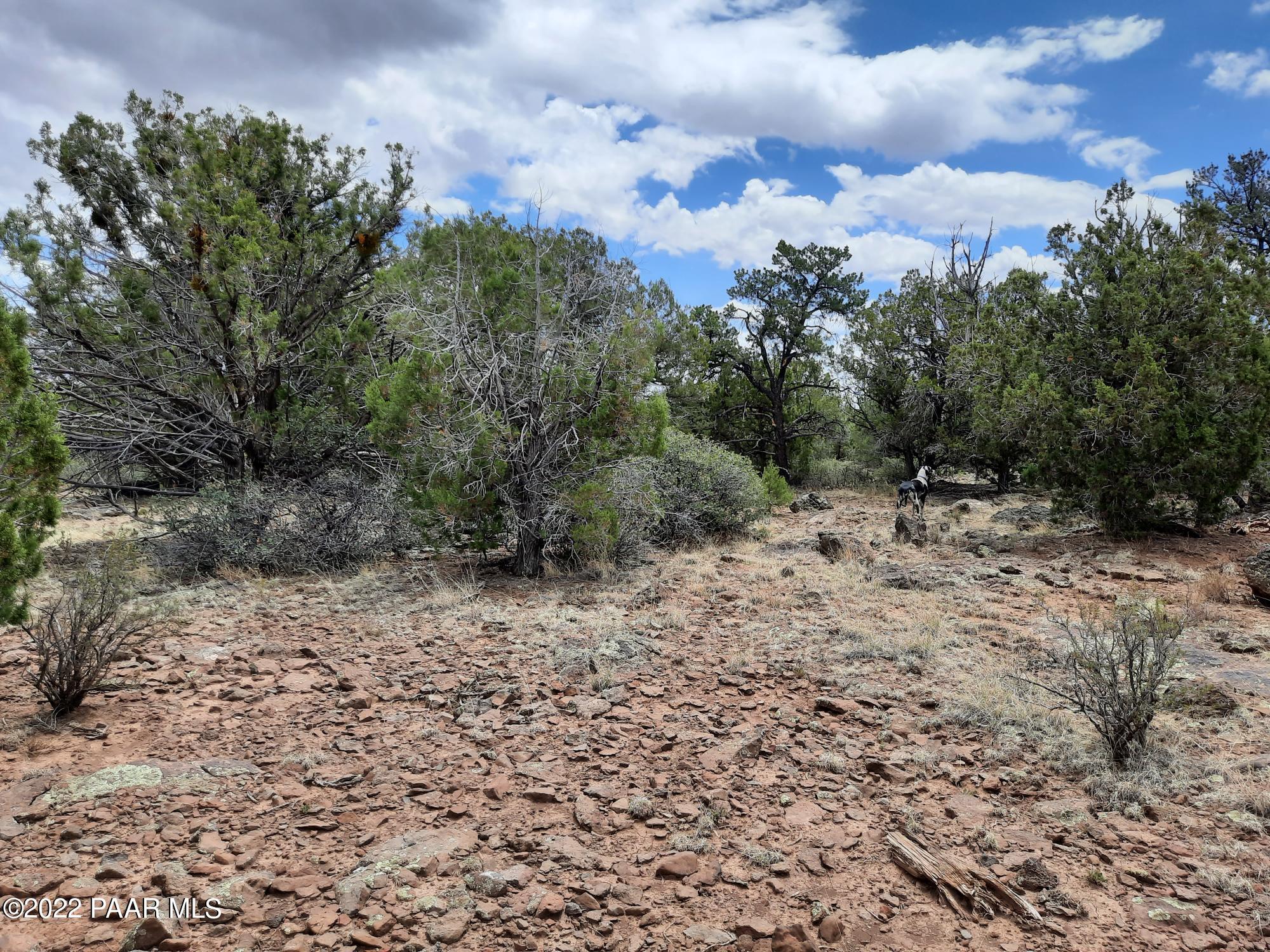 602 D Edge Ridge Road Seligman, AZ 86337 - Photo 5 of 10 20220705_113626