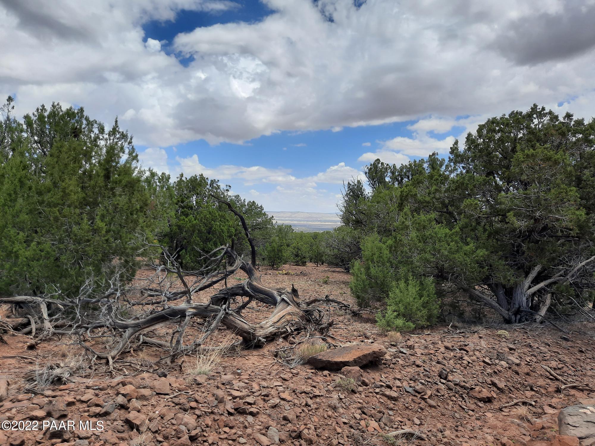 602 D Edge Ridge Road Seligman, AZ 86337 - Photo 9 of 10 20220705_114637