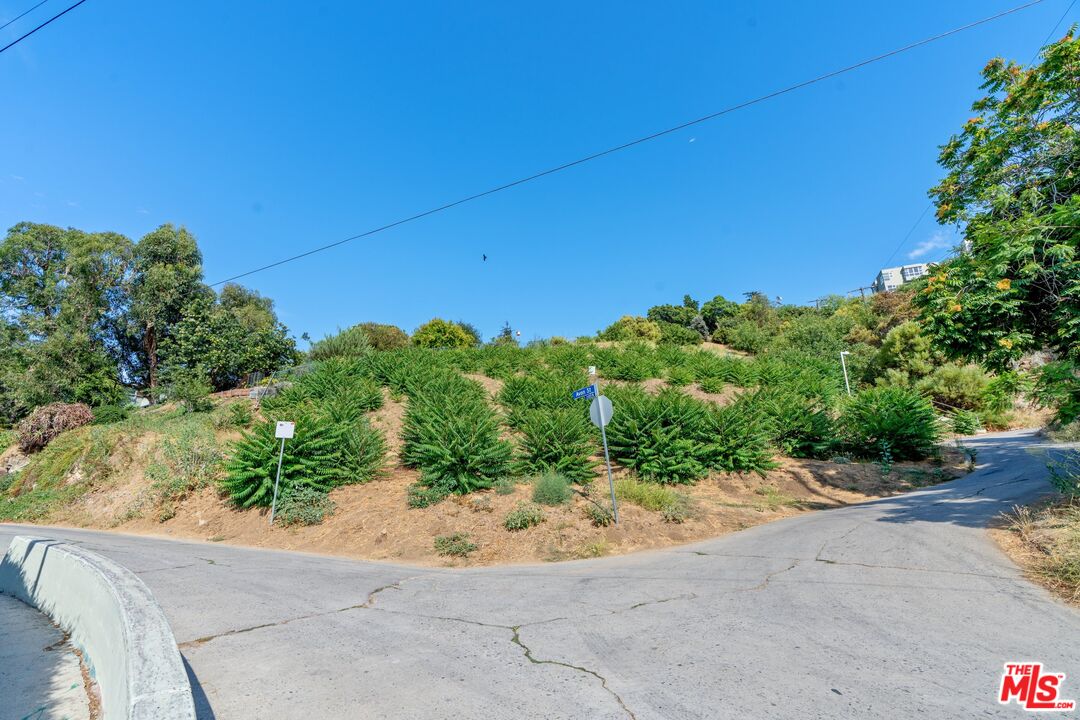 2100 Avon Street Los Angeles, CA 90026 - Photo 26 of 36 a view of a road with a garden