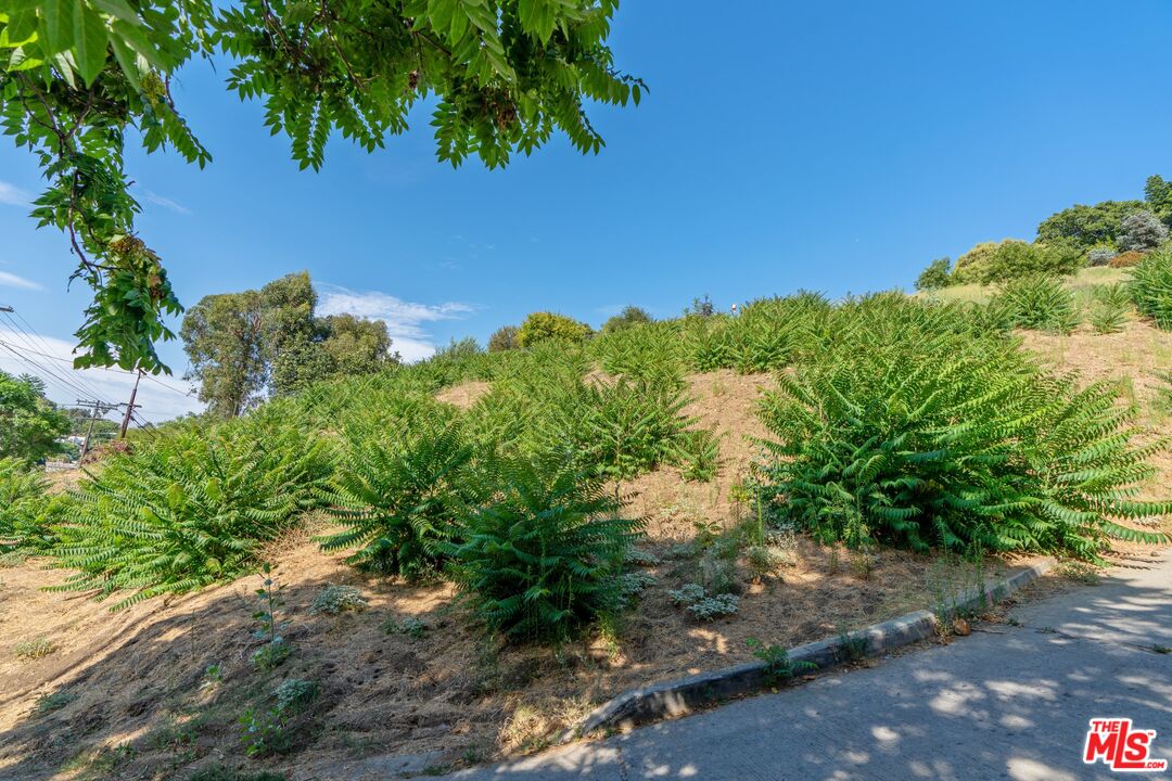 2100 Avon Street Los Angeles, CA 90026 - Photo 27 of 36 a view of a large yard with lots of green space