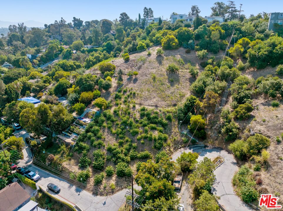 2100 Avon Street Los Angeles, CA 90026 - Photo 4 of 36 a view of a garden with a tree