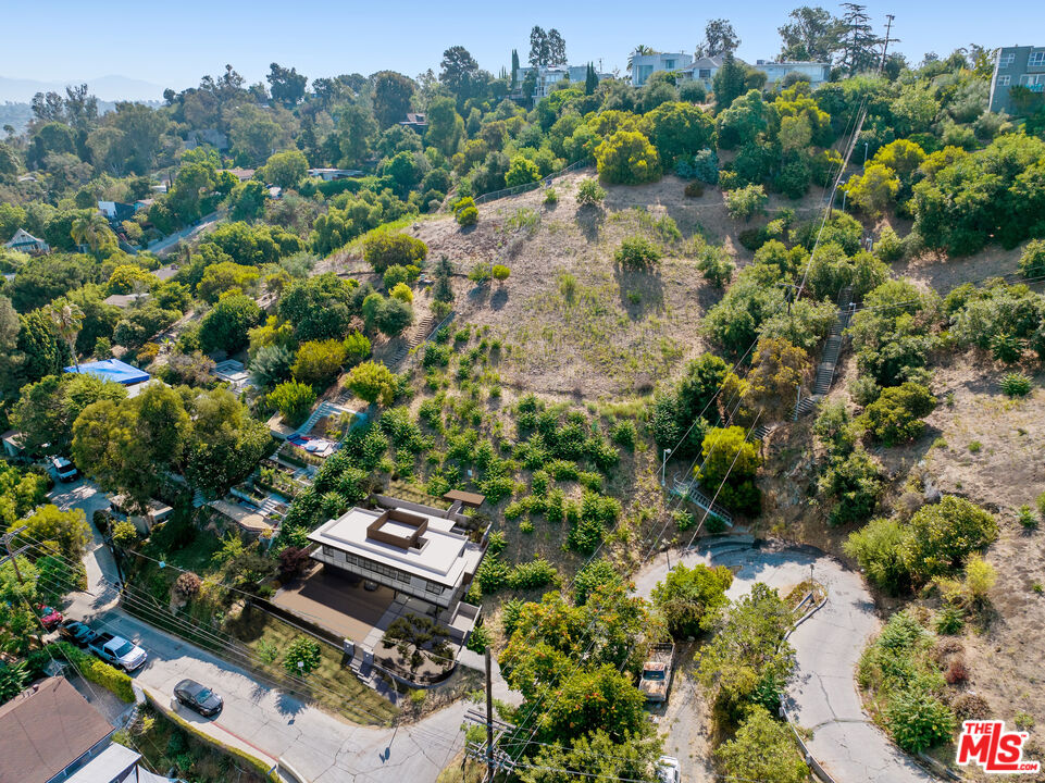 2100 Avon Street Los Angeles, CA 90026 - Photo 5 of 36 a view of a garden with a tree