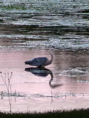 $725,000 | 95 Silsby Road, Mariaville, ME 04605