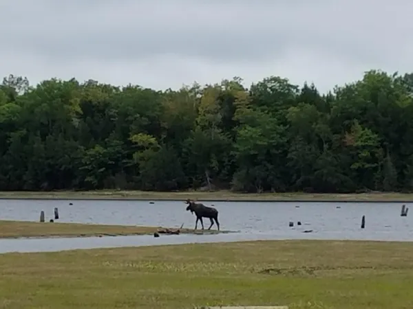 $725,000 | 95 Silsby Road, Mariaville, ME 04605