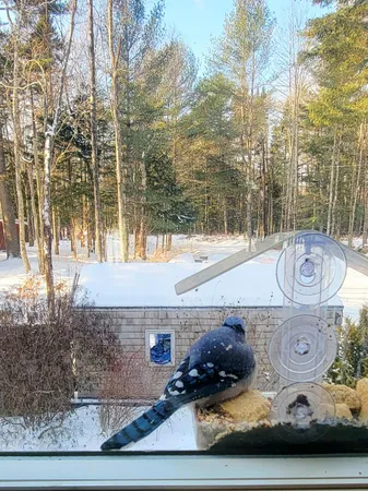 $725,000 | 95 Silsby Road, Mariaville, ME 04605