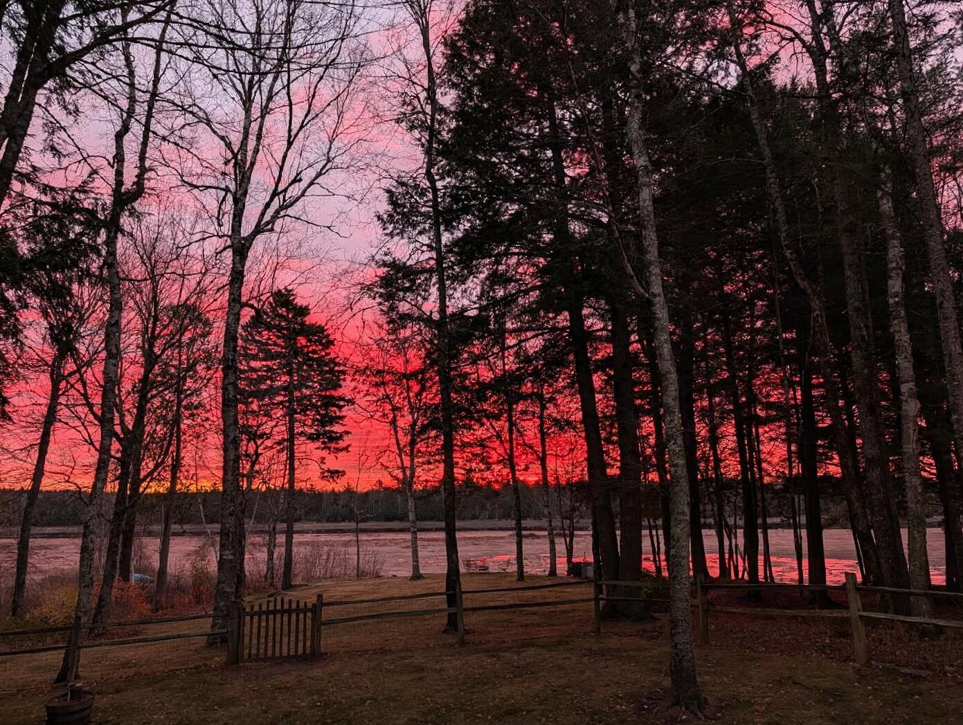 95 Silsby Road Mariaville, ME 04605 - Photo 84 of 88 Sunrise 11/9/25