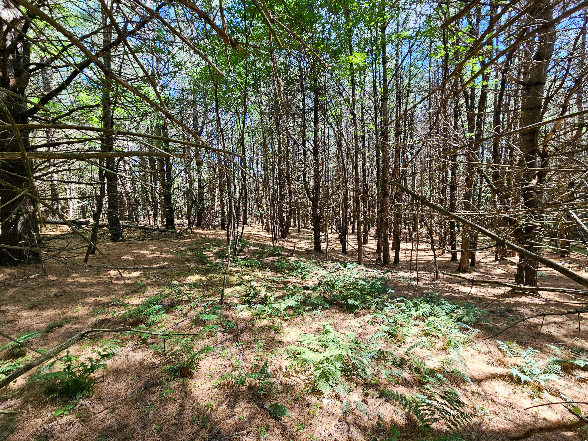 11-31-c Stone Hill Road Farmington, ME 04938 - Photo 16 of 22
