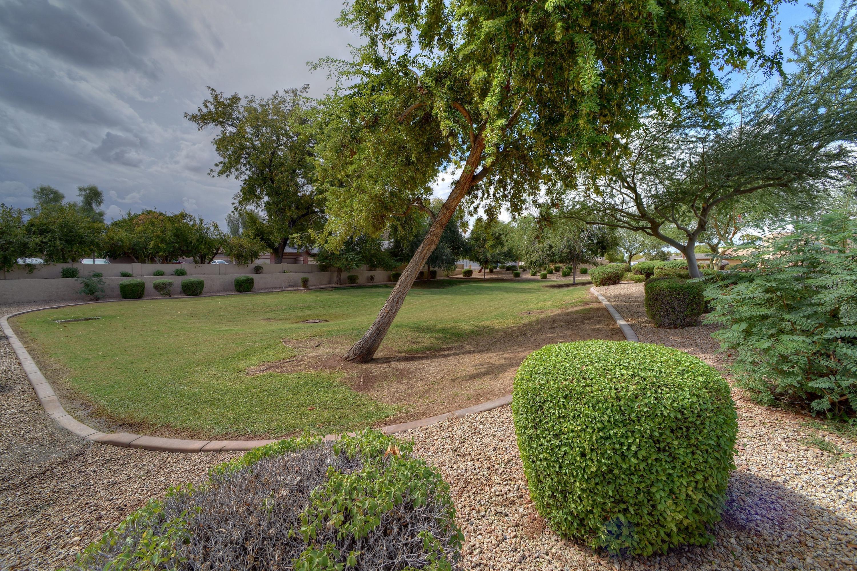 5799 West Freeway Lane Glendale, AZ 85302 - Photo 15 of 15 015_Park View