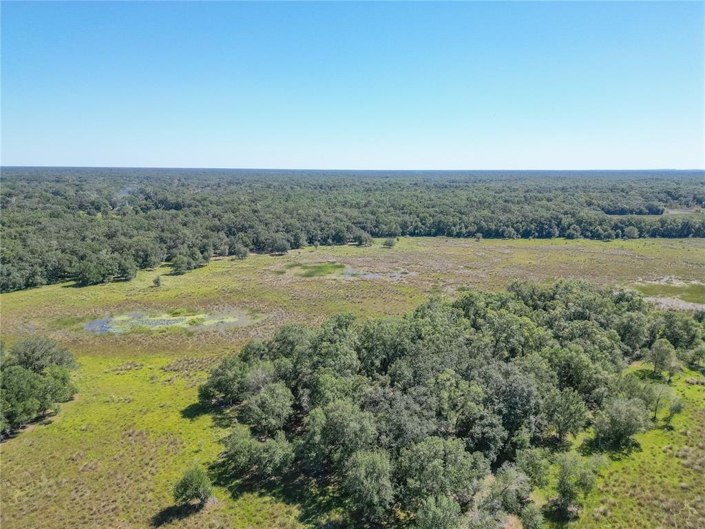673 Webster Webster, FL 33597 - Photo 26 of 69 Gallery Image 26