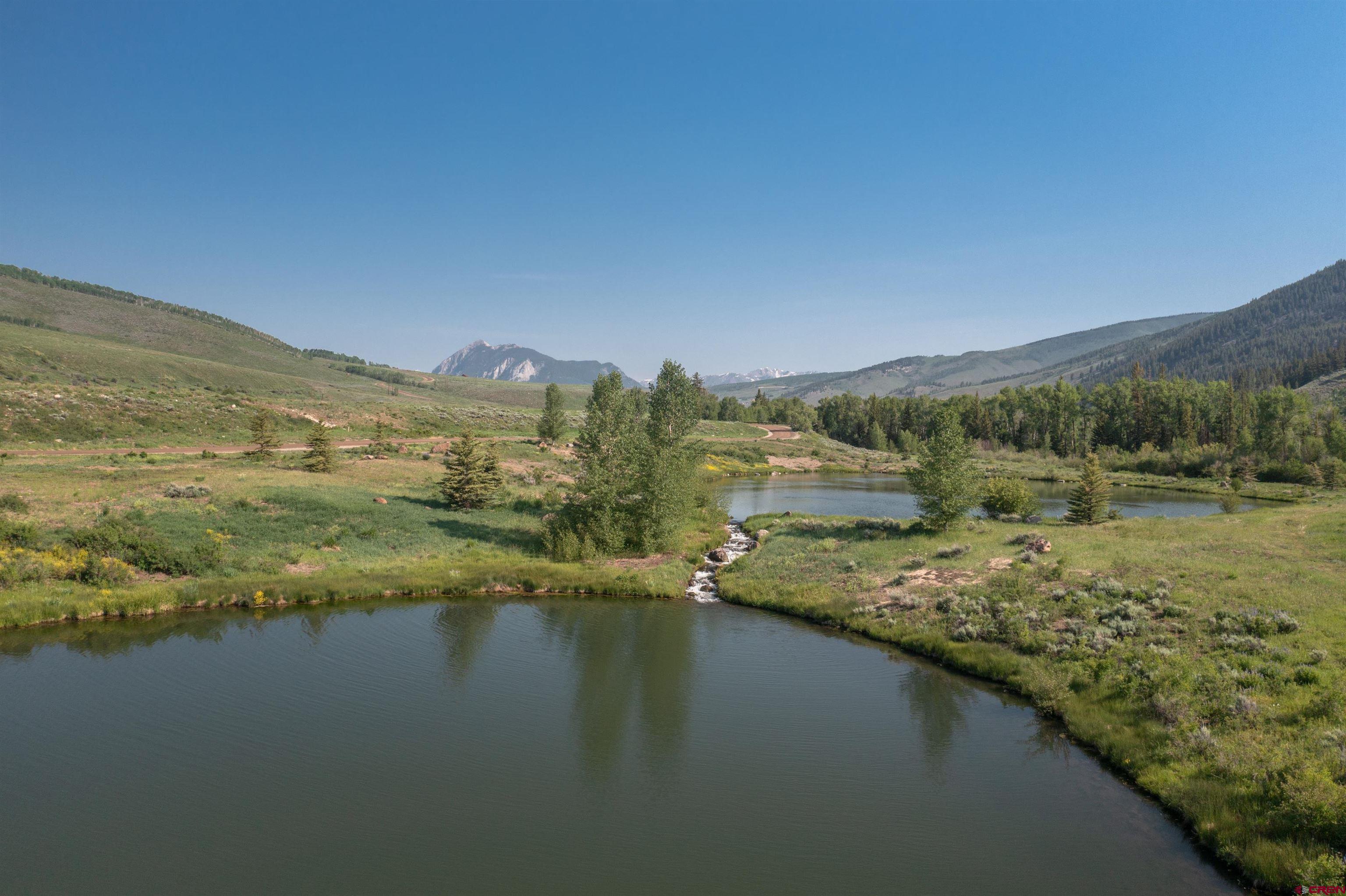2177 Aspen Mountain Road Almont, CO 81210 - Photo 5 of 20