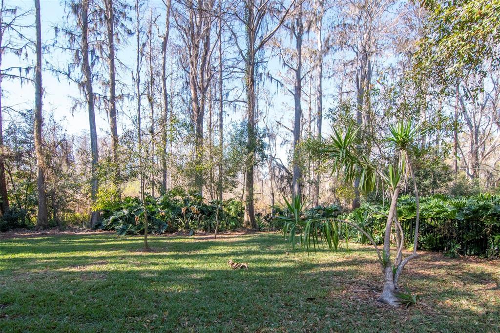 18306 Pleasant Ridge Place Lutz, FL 33548 - Photo 56 of 64